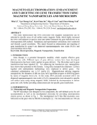 Magneto-Electroporation: Enhancement and Targeting of Gene Transfection Using Magnetic Nanoparticles and Microchips