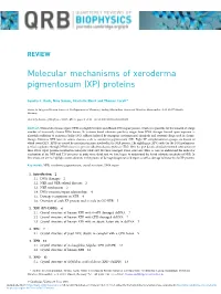 Molecular Mechanisms of Xeroderma Pigmentosum (XP) Proteins
