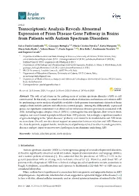 Transcriptomic Analysis Reveals Abnormal Expression of Prion Disease Gene Pathway in Brains from Patients with Autism Spectrum Disorders