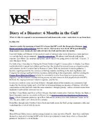 Diary of a Disaster: 6 Months in the Gulf What It’S Like to Respond to an Environmental and Democratic Crisis—And Where We Go from Here