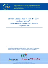 Should Ukraine Aim to Join the EU's Customs Union?