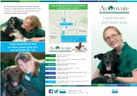 Laparoscopic (Key-Hole) Spay