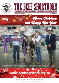 Merry Christmas and Happy New Year