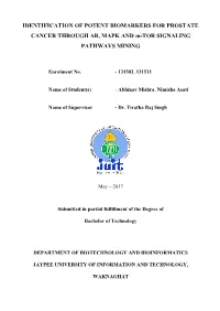 Project Report 7Th