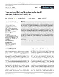 Taxonomic Validation of Encheliophis Chardewalli with Description of Calling Abilities