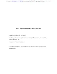 Hipla: High-Throughput Imaging Proximity Ligation Assay