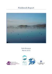 Fieldwork Report