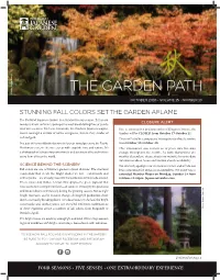 The Garden Path