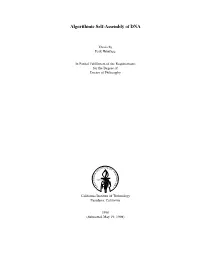 Algorithmic Self-Assembly of DNA