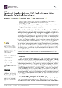 Functional Coupling Between DNA Replication and Sister Chromatid Cohesion Establishment