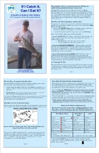 A Guide to Eating Fish Safely