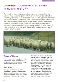 Chapter 1 Domesticated Sheep in Human History
