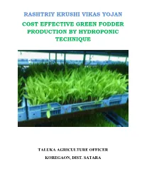 Cost Effective Green Fodder Production by Hydroponic Technique