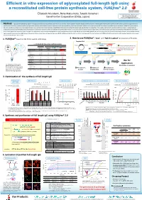 Efficient in Vitro Expression of Aglycosylated Full-Length Igg Using