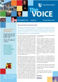Newsletter 3