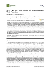 Sieve Plate Pores in the Phloem and the Unknowns of Their Formation