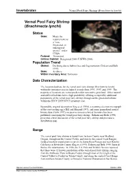 Vernal Pool Fairy Shrimp (Branchinecta Lynchi)