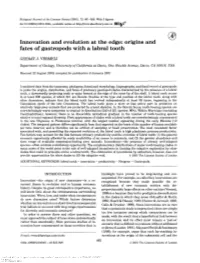 Innovation and Evolution at the Edge: Origins and Fates of Gastropods with a Labral Tooth