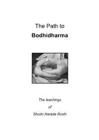 The Path to Bodhidharma