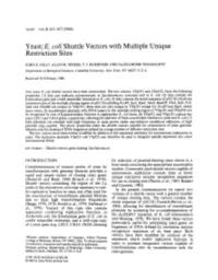 Yeast/E. Coli Shuttle Vectors with Multiple Unique Restriction Sites