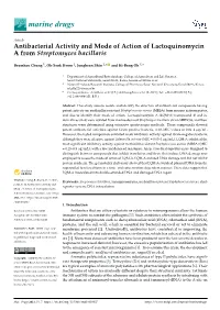Antibacterial Activity and Mode of Action of Lactoquinomycin a from Streptomyces Bacillaris
