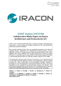 COST Action CA15104 Collaborative White Paper on Future Architecture and Protocols for Iot