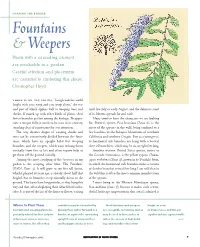 Fountains & Weepers