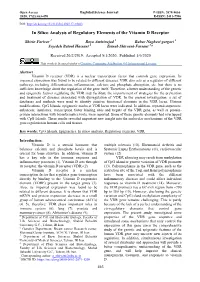 In Silico Analysis of Regulatory Elements of the Vitamin D Receptor