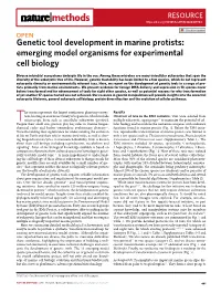Genetic Tool Development in Marine Protists: Emerging Model Organisms for Experimental Cell Biology