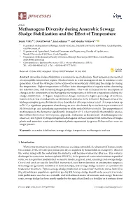 Methanogens Diversity During Anaerobic Sewage Sludge Stabilization and the Eﬀect of Temperature