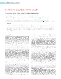 Seabirds of Goa, India: Recent Updates