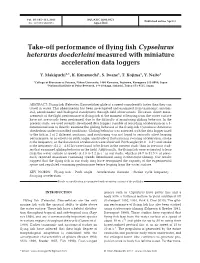 Take-Off Performance of Flying Fish Cypselurus Heterurus Doederleini Measured with Miniature Acceleration Data Loggers