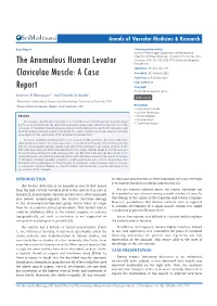 The Anomalous Human Levator Claviculae Muscle: a Case Report