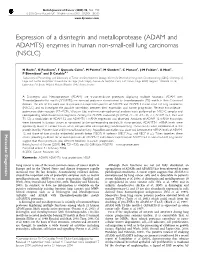 ADAM and ADAMTS) Enzymes in Human Non-Small-Cell Lung Carcinomas (NSCLC)