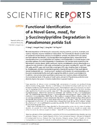 Functional Identification of a Novel Gene, Moae, for 3