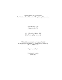 Hearing Images and Seeing Sound: the Creation of Sonic Information Through Image Interpolation