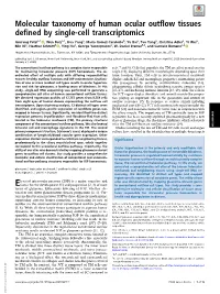 Molecular Taxonomy of Human Ocular Outflow Tissues Defined by Single-Cell Transcriptomics