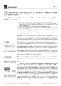 Connexins in the Heart: Regulation, Function and Involvement in Cardiac Disease