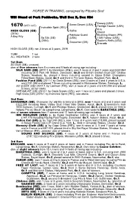 HORSE in TRAINING, Consigned by Fittocks Stud