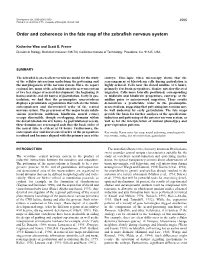 Order and Coherence in the Fate Map of the Zebrafish Nervous System