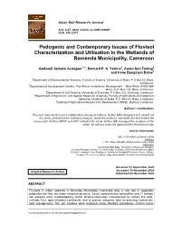 Pedogenic and Contemporary Issues of Fluvisol Characterization and Utilisation in the Wetlands of Bamenda Municipality, Cameroon