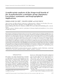 A Multivariate Analysis of the Fringe-Toed Lizards of the Acanthodactylus Scutellatus Group (Squamata: Lacertidae): Systematic and Biogeographical Implications