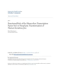 Functional Role of the Homeobox Transcription Factor Six1 in Neoplastic Transformation of Human Keratinocytes Maria Hosseinipour University of South Carolina