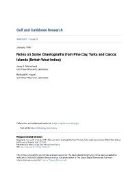 Notes on Some Chaetognaths from Pine Cay, Turks and Caicos Islands (British West Indies)