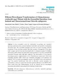 Efficient Heterologous Transformation of Chlamydomonas Reinhardtii Npq2