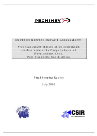 Final Scoping Report July 2002
