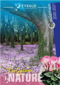 The Cyclamen Bynature Range 2020