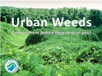 EMSWCD Weeds Workshop Presentation