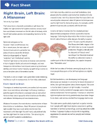 Fact Sheet: Left Brain, Right Brain