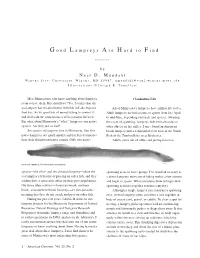 Good-Lampreys-Hard-To-Find.Pdf